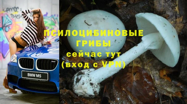 трава Новокубанск