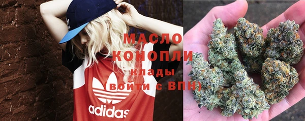 прущие грибы Новозыбков
